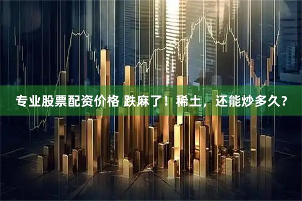 专业股票配资价格 跌麻了！稀土，还能炒多久？