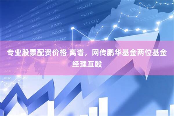 专业股票配资价格 离谱，网传鹏华基金两位基金经理互殴