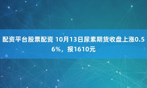 配资平台股票配资 10月13日尿素期货收盘上涨0.56%，报1610元